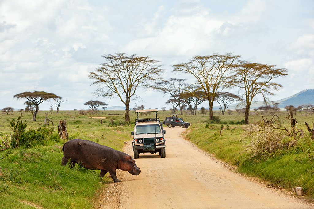 pays partir en voyage