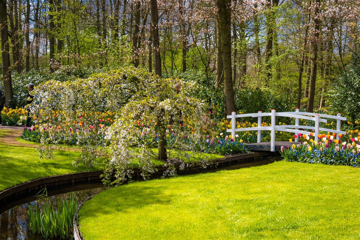 jardins les plus magnifiques