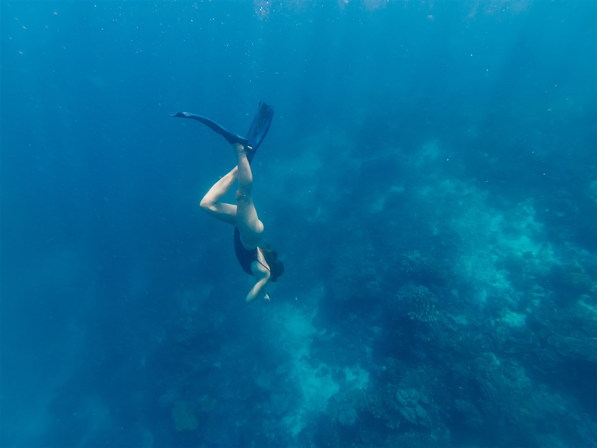 Escapade aquatique