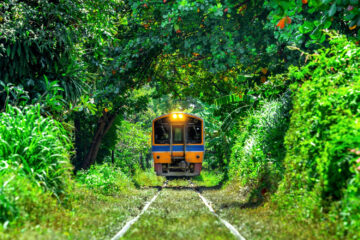 Traverser Java en train