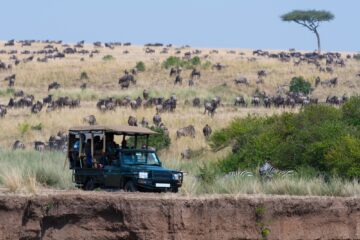 parc national kényan