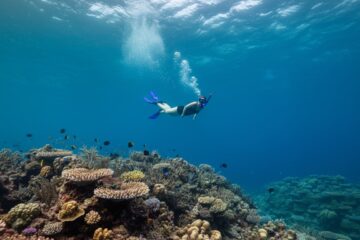 la grande barrière de corail