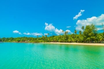 Comment organiser un voyage en Guadeloupe autour de la gastronomie locale ?