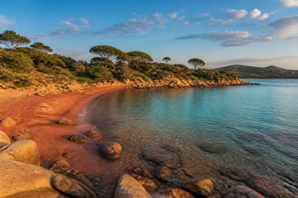 découvrez la baie de la plage rouge de rondinara, un site idyllique pour les passionnés de photographie grâce à ses paysages exceptionnels et ses couleurs uniques.