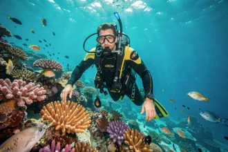 Plongeur en combinaison explorant un récif corallien coloré en mer Rouge lors d'une croisière plongée en Égypte